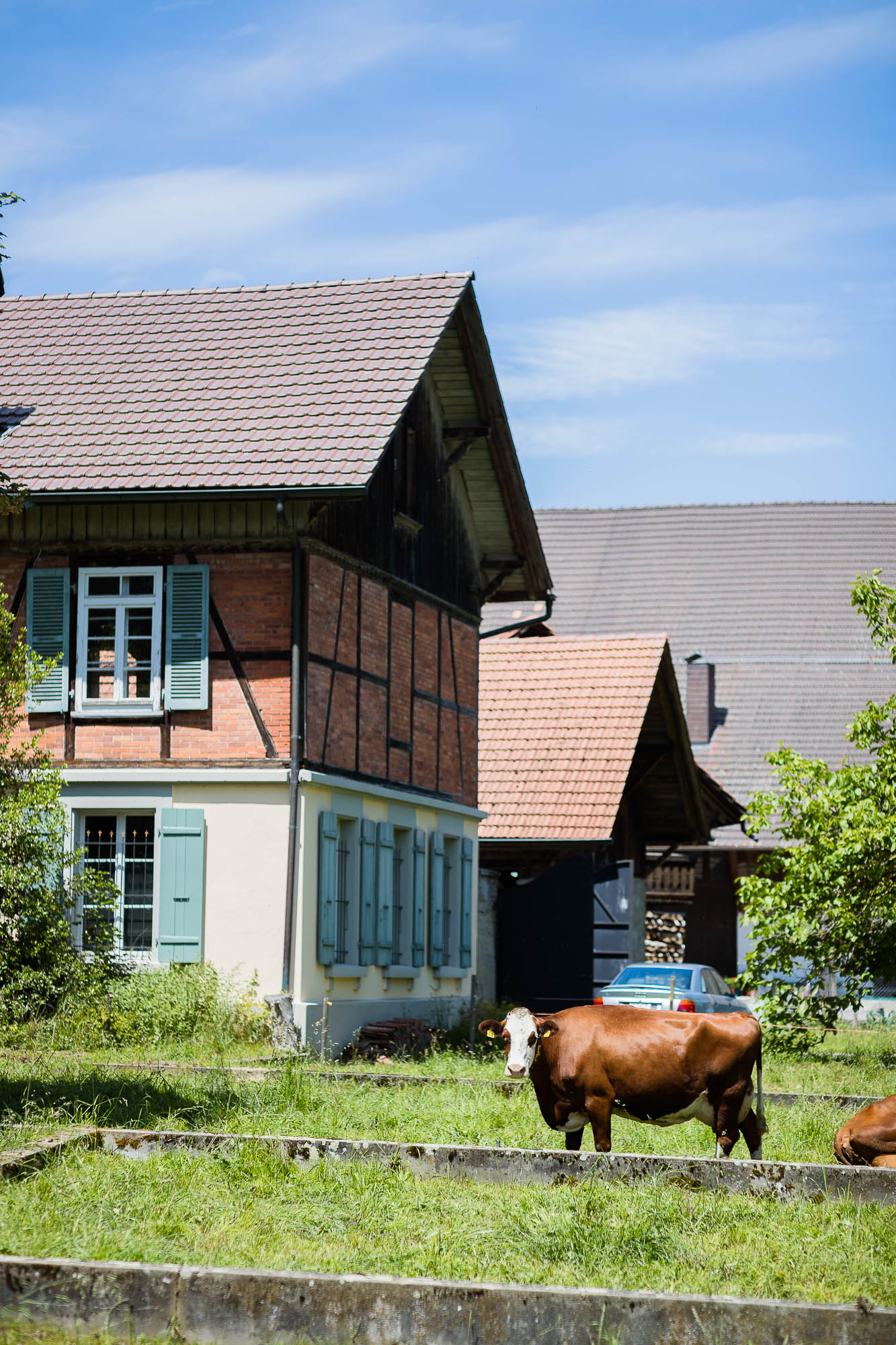 Export x3 1DX27667 Hochzeit 2020 Claudia & Marco